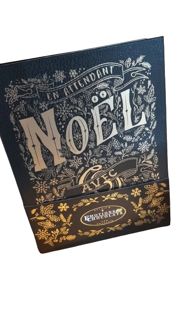 Calendrier de l'avent livre