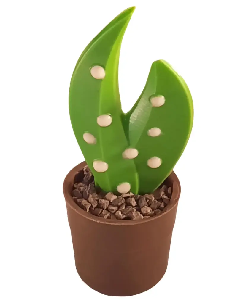 Muguet 
